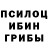 Псилоцибиновые грибы прущие грибы Vahagn1988