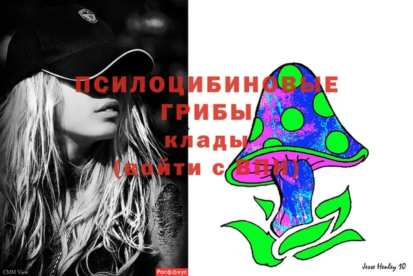 молекула духа Дмитровск