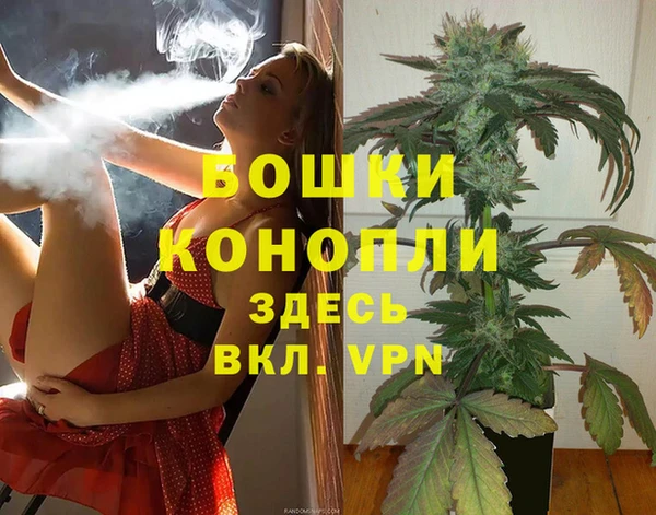 мдпв Дмитров
