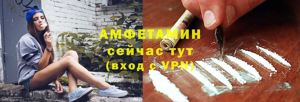 мдпв Дмитров